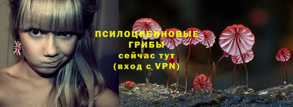 таблы Верея