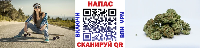 сколько стоит Курган Конопля Bruce Banner